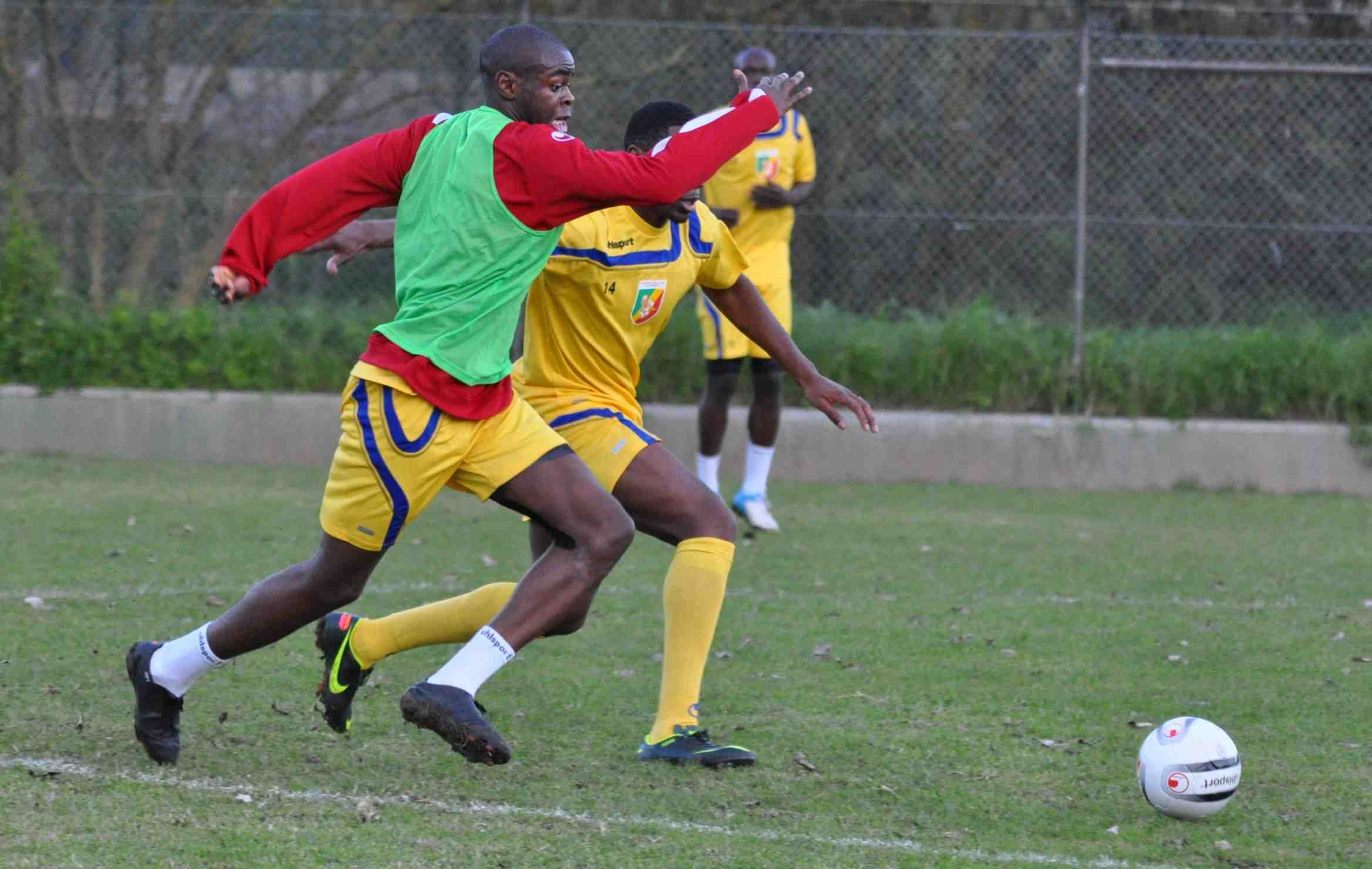 Football : l’actualité des Diables rouges