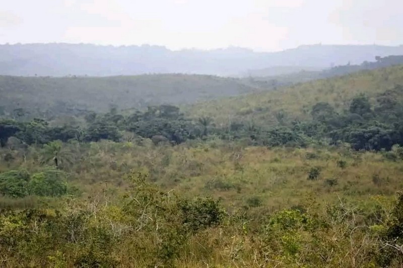 Forêt de Missama près de Sibiti, République du Congo