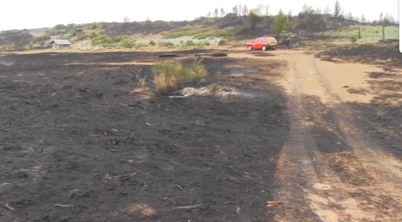 Capture d'écran France 3 , la forêt de Monze après l'incendie de l'été 2019