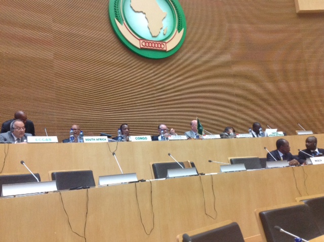 La tribune de la réunion de l’initiative africaine de solidarité. (© Adiac)