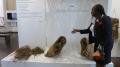 Ida Ntsiba, responsable de le Galerie Congo de Brazzaville donne une explication des objets exposés au Mafro