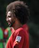 Benoit Assou-Ekoto absent au stage autrichien