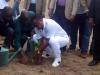 Le président de la République plantant un arbre le 6 novembre à Olenga (Cuvette)