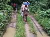 Dans les profondeurs de la forêt congolaise au village Roch Kintouari, Nord du Congo Brazzaville